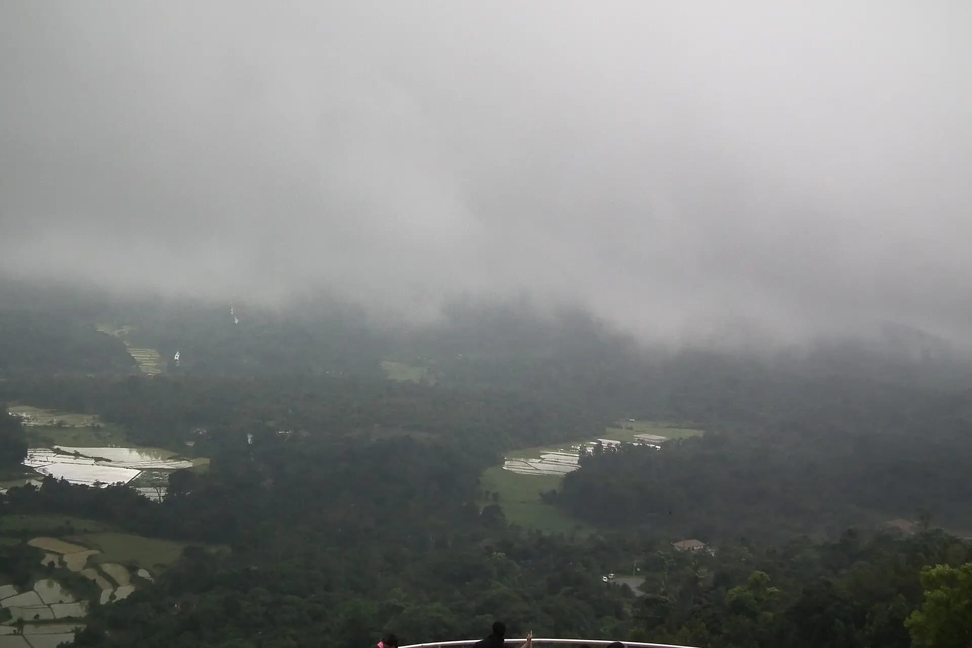 Misty hills and plantations around Madikeri, Coorg, Karnataka
