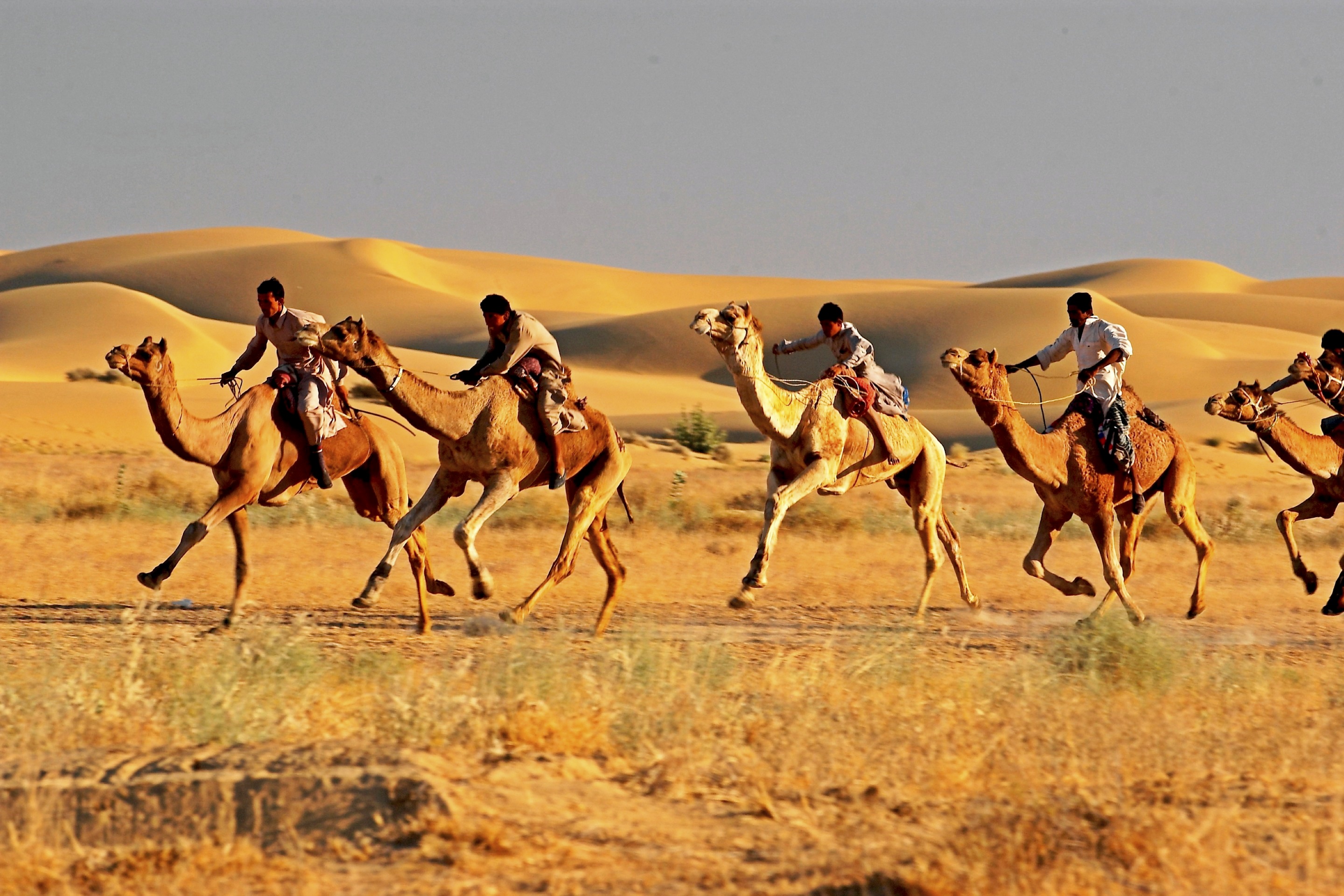 Delhi Mandawar Bikaner Jaisalmer Jodhpur Udaipur Tour